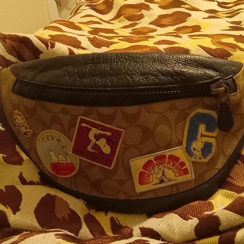 Coach Fannie pack